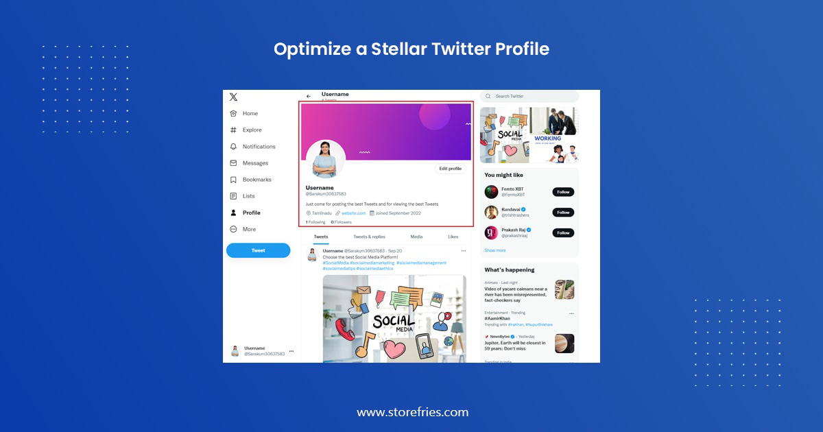 Optimize a stellar Twitter profile