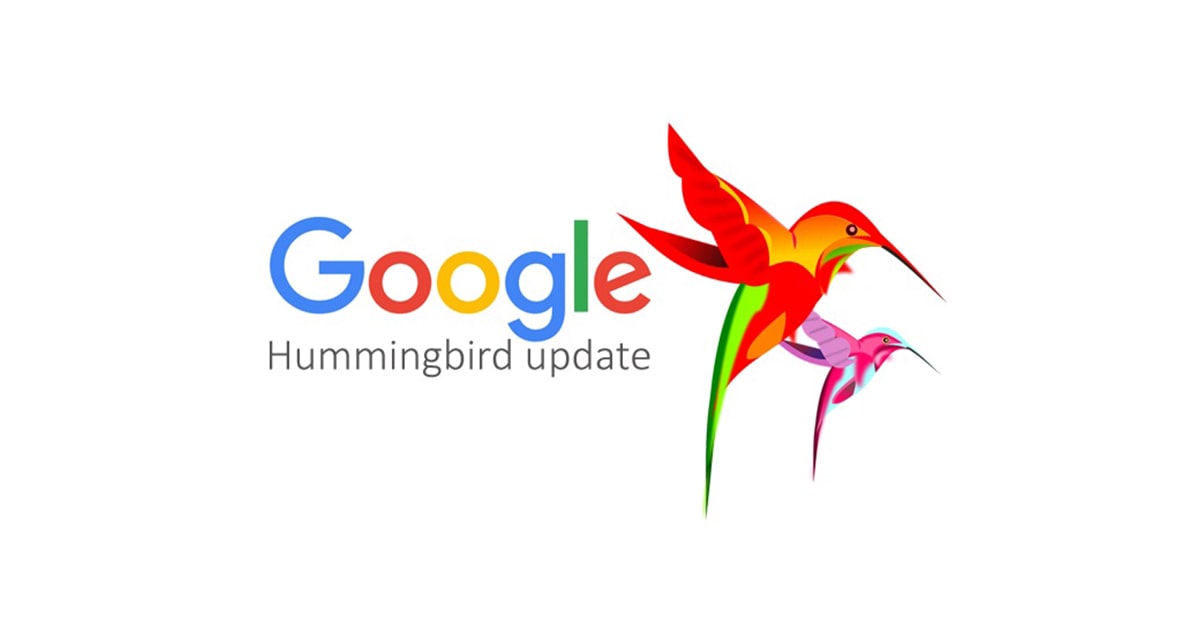 Google's Humming Bird Algorithms